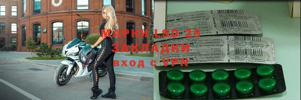 спиды Горняк