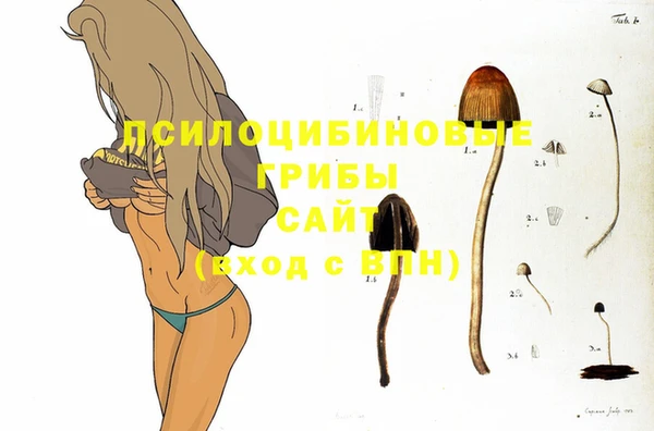 ешки Новокубанск