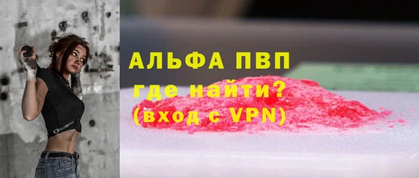 спиды Горняк