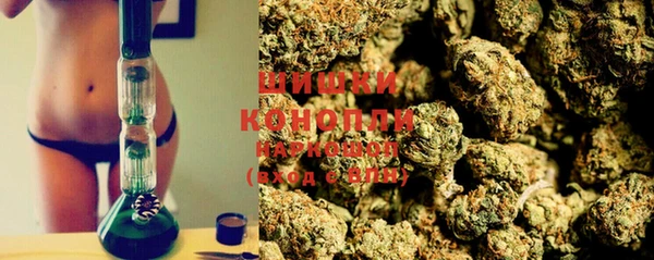 спиды Горняк