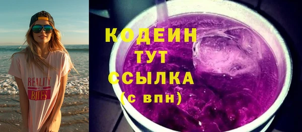 дурь Новодвинск