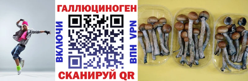 Галлюциногенные грибы GOLDEN TEACHER  МЕГА онион  Дзержинск 