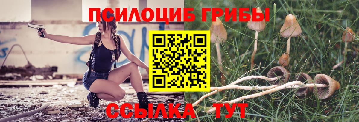 Галлюциногенные грибы Cubensis Дзержинск