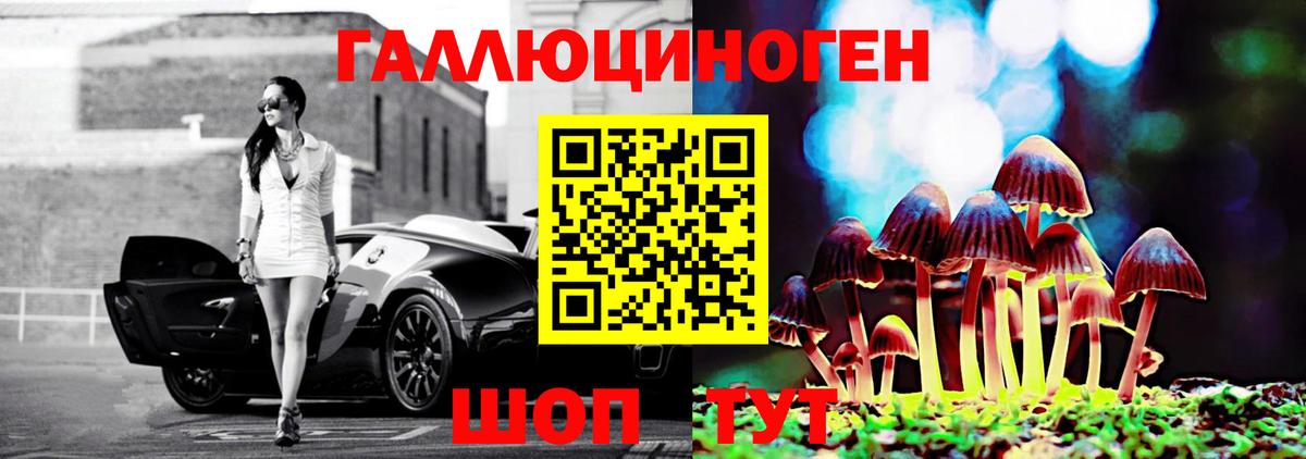 Дзержинск  Псилоцибиновые грибы прущие грибы  Вход с VPN 
